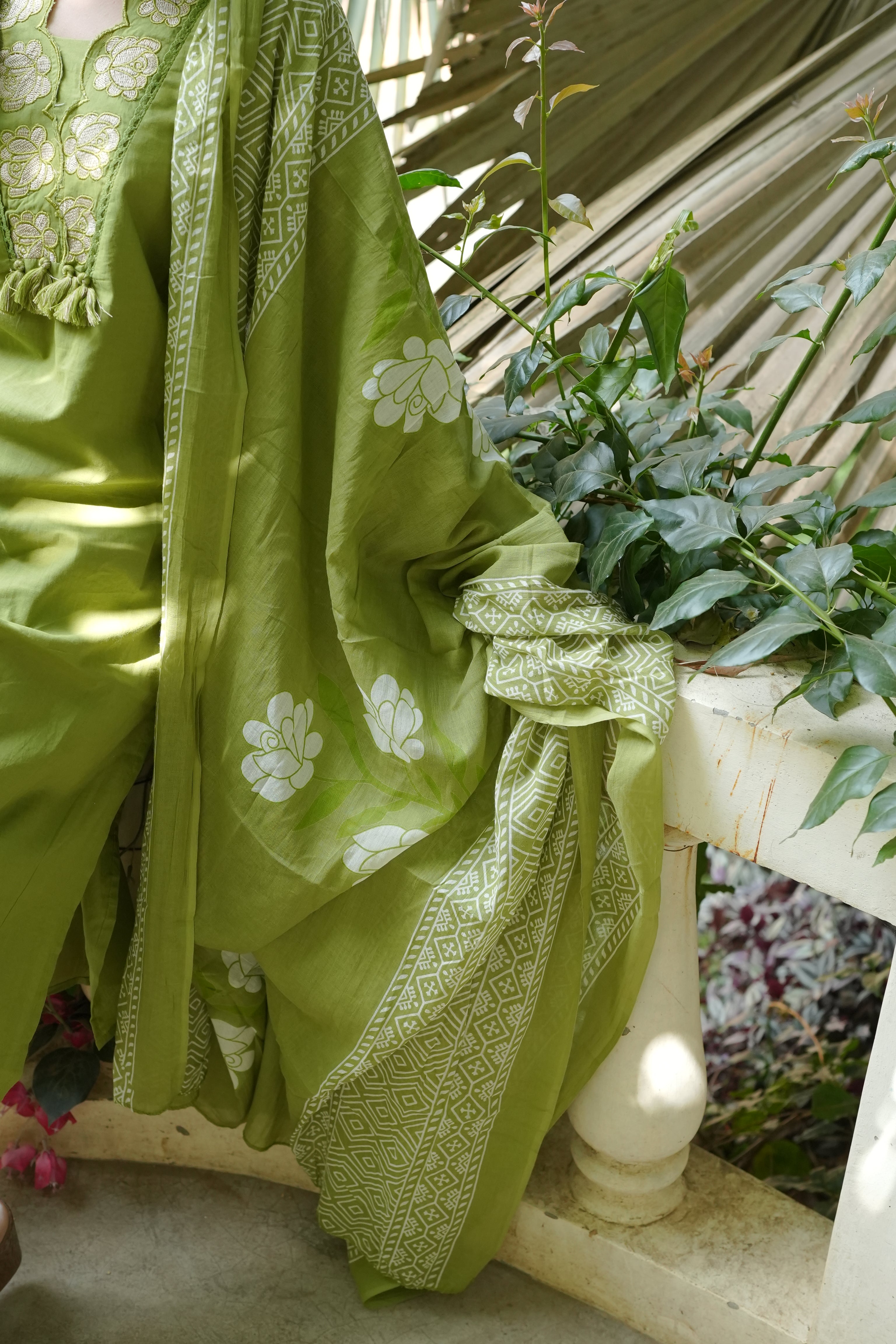 The Olive Oasis